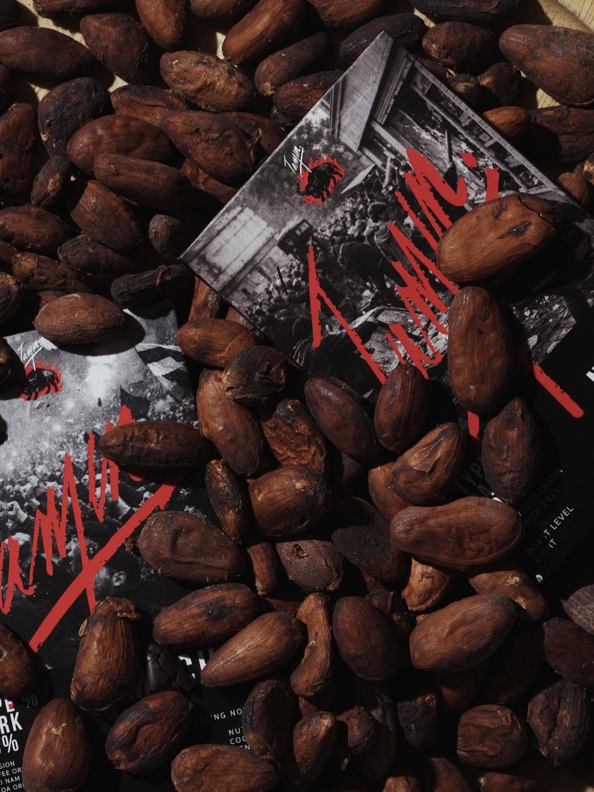 Cacao beans on TAMIN packaging